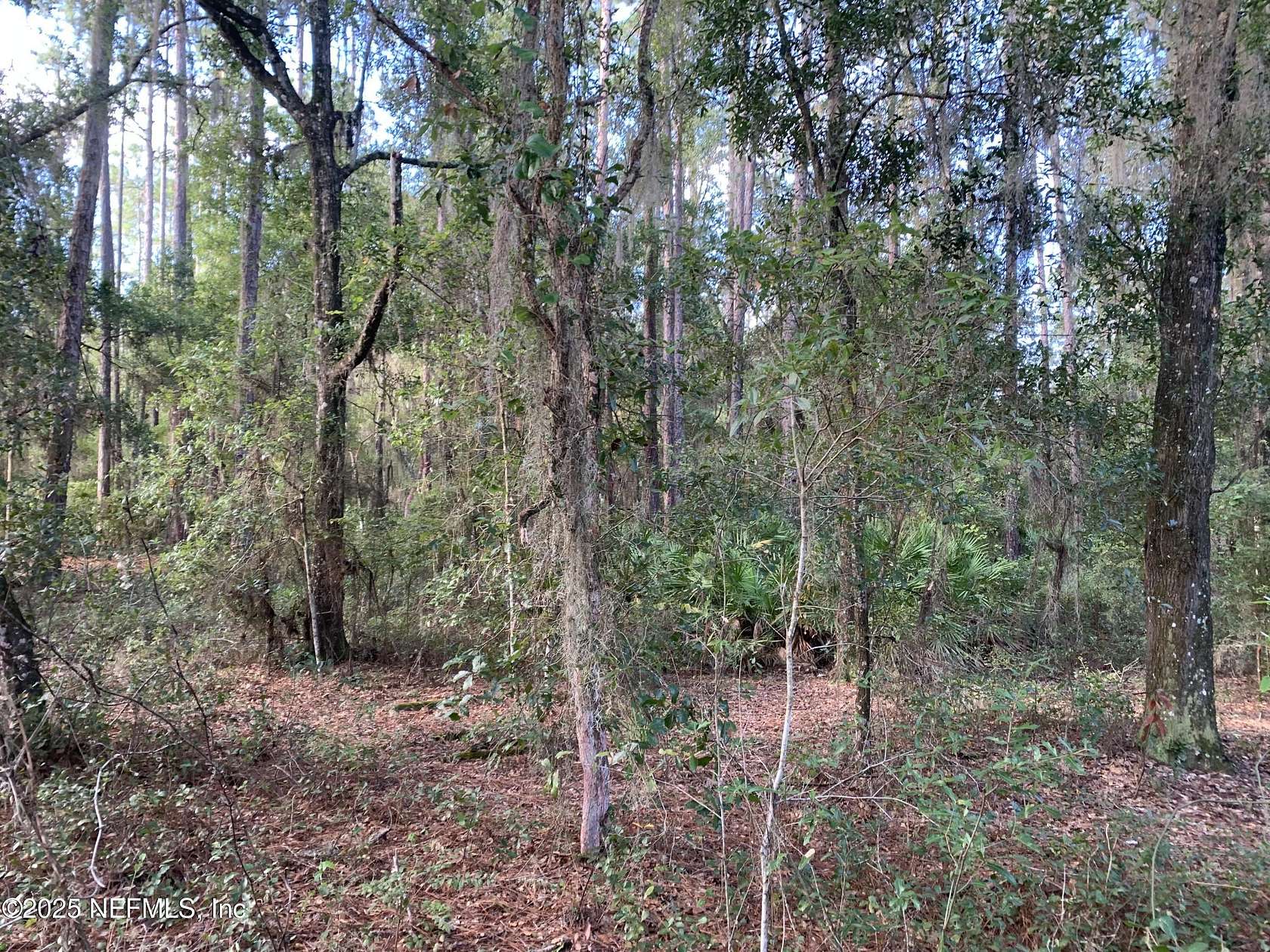 0.17 Acres of Land for Sale in Florahome, Florida