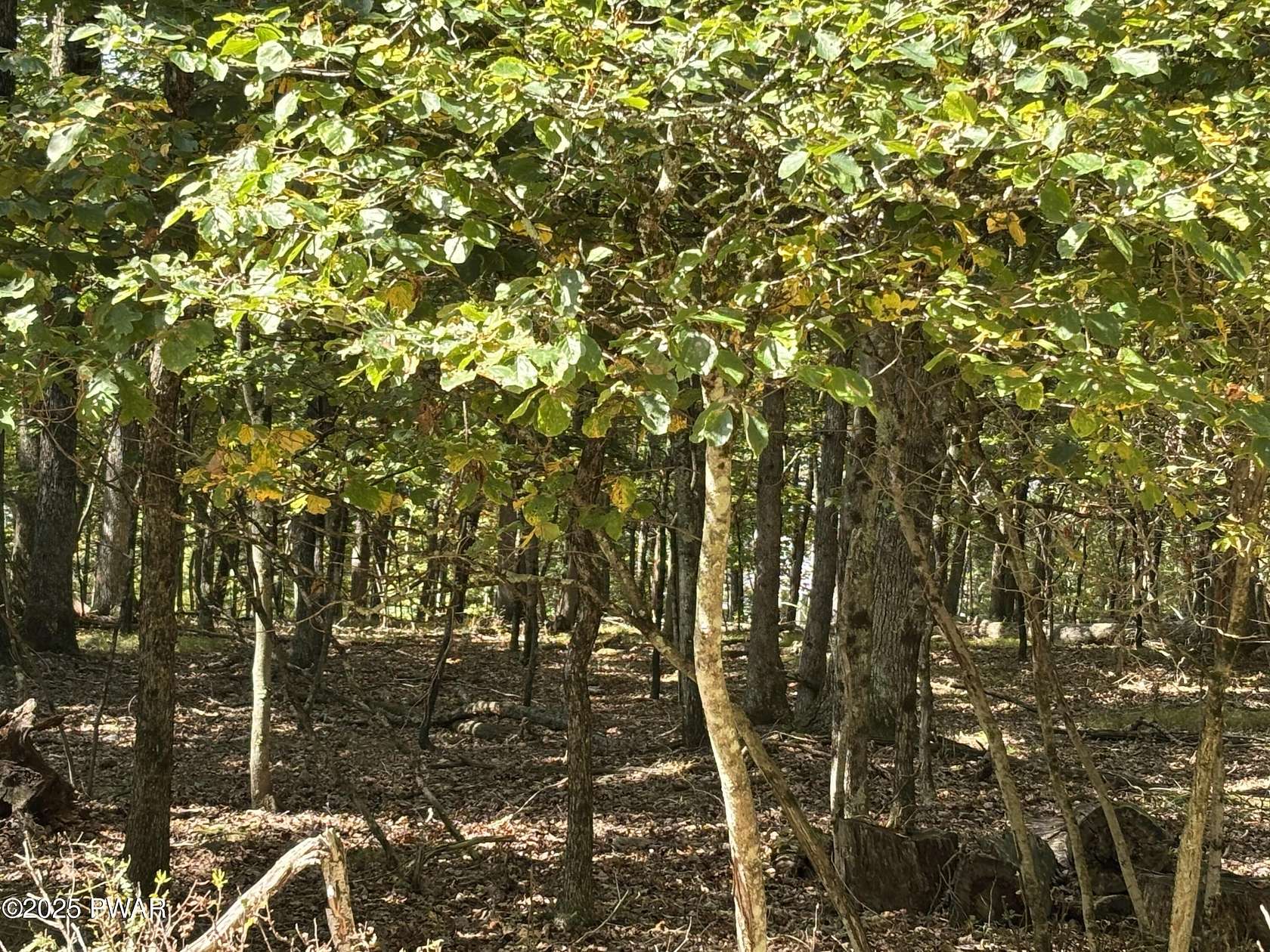 1 Acre of Residential Land for Sale in Hawley, Pennsylvania