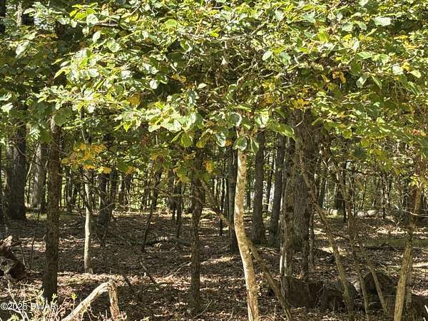 1 Acre of Residential Land for Sale in Hawley, Pennsylvania