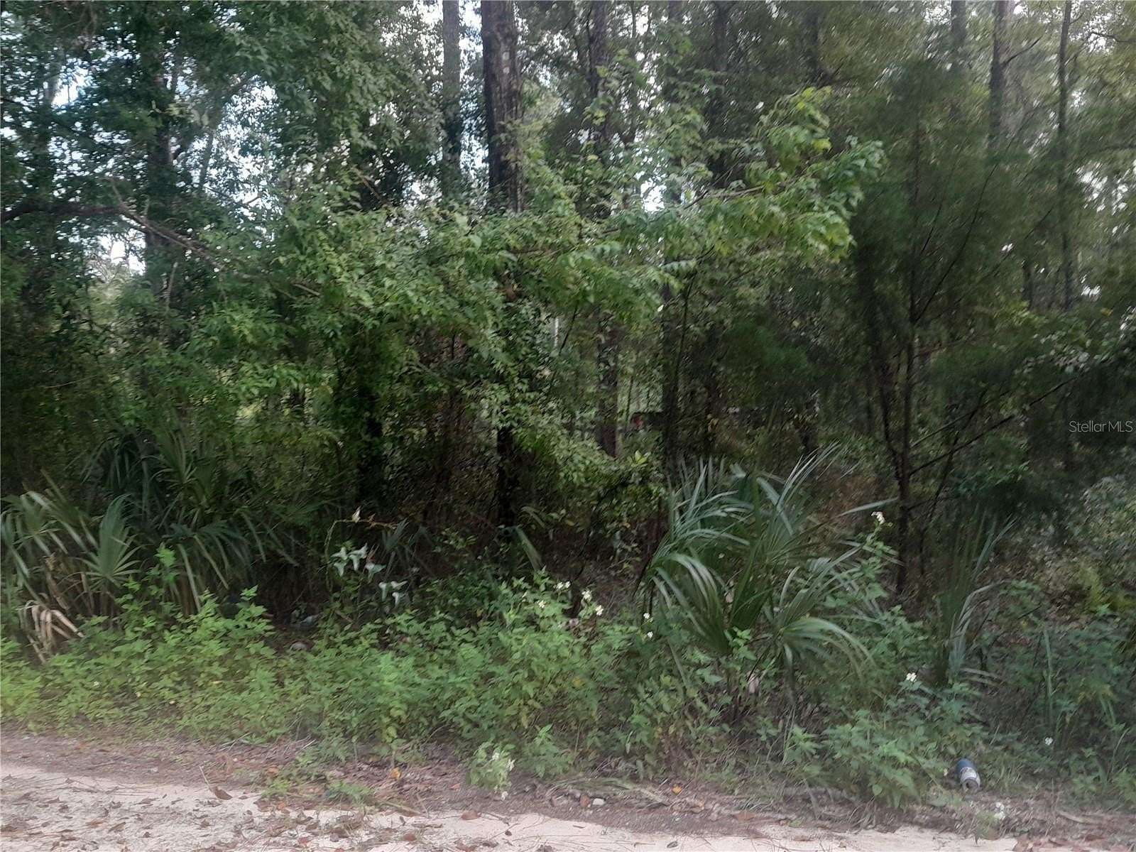 0.32 Acres of Land for Sale in Williston, Florida