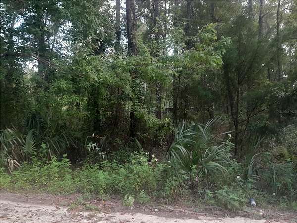 0.32 Acres of Land for Sale in Williston, Florida