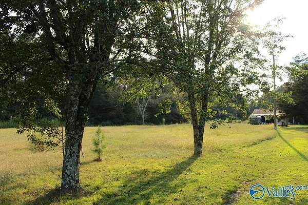 3 Acres of Land for Sale in Owens Cross Roads, Alabama