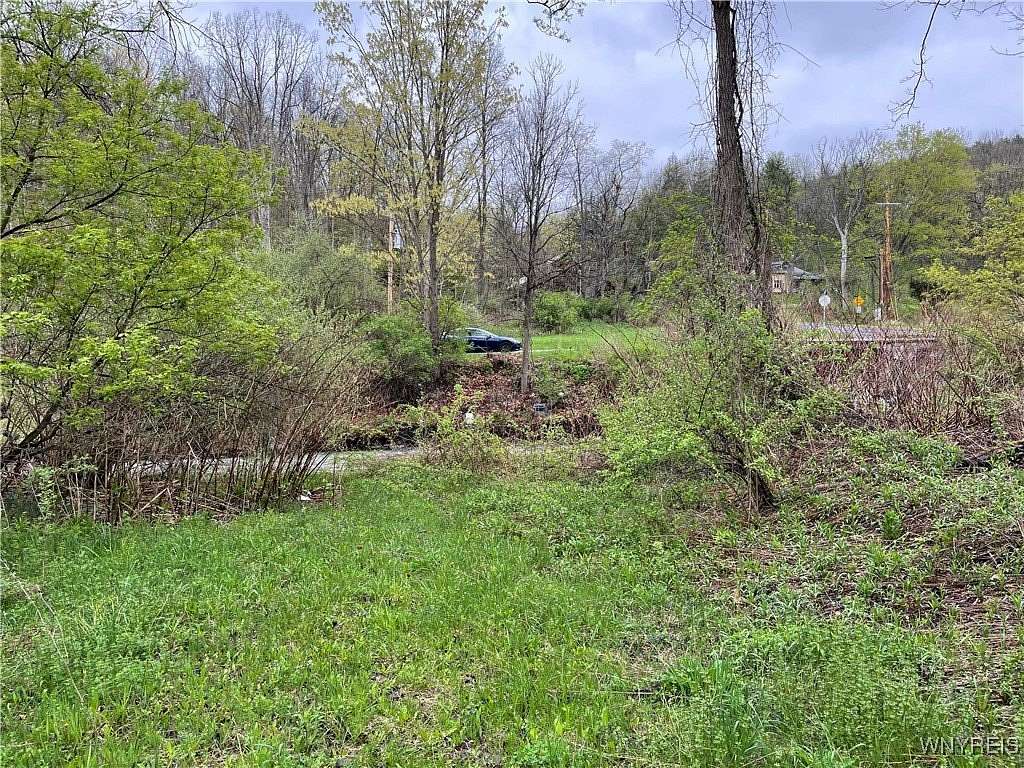 37.9 Acres of Recreational Land for Sale in Horseheads, New York