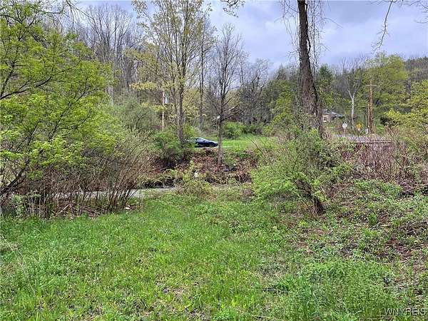 37.9 Acres of Recreational Land for Sale in Horseheads, New York