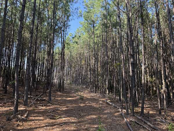 6 Acres of Residential Land for Sale in Hohenwald, Tennessee