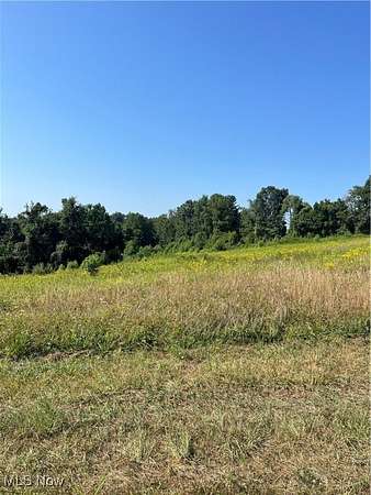 17.6 Acres of Land for Sale in Bergholz, Ohio