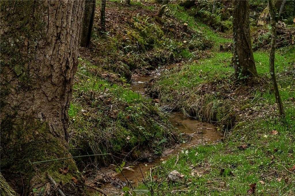 1 Acre of Residential Land for Sale in Dawsonville, Georgia