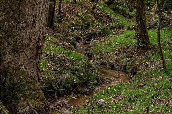 1 Acre of Residential Land for Sale in Dawsonville, Georgia