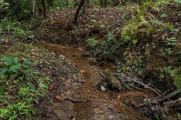 1 Acre of Residential Land for Sale in Dawsonville, Georgia