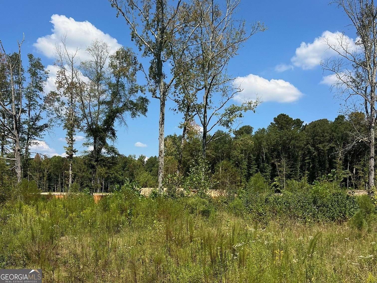 5 Acres of Residential Land for Sale in Marietta, Georgia