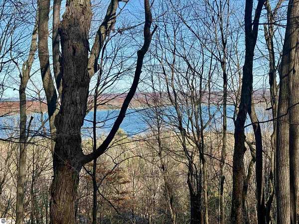 11.6 Acres of Land for Sale in Maple City, Michigan