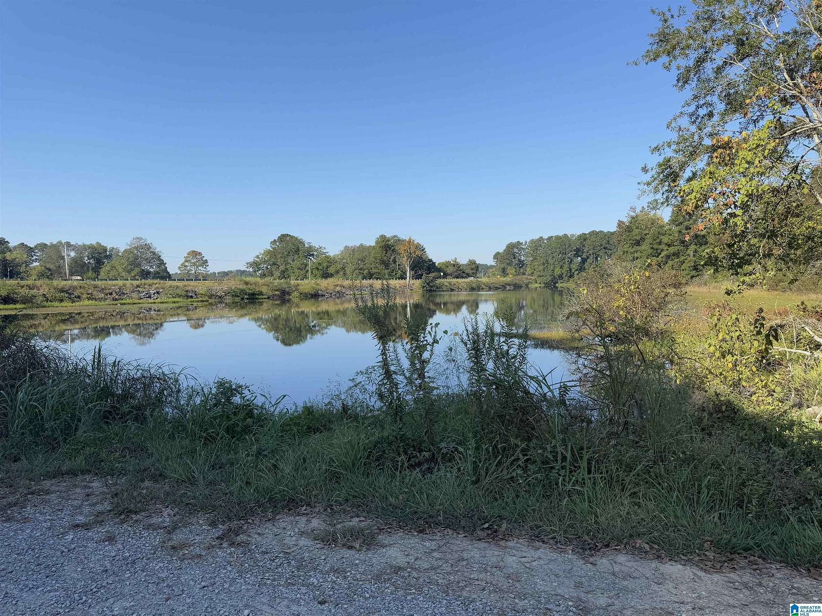 22.8 Acres of Land for Sale in Lincoln, Alabama