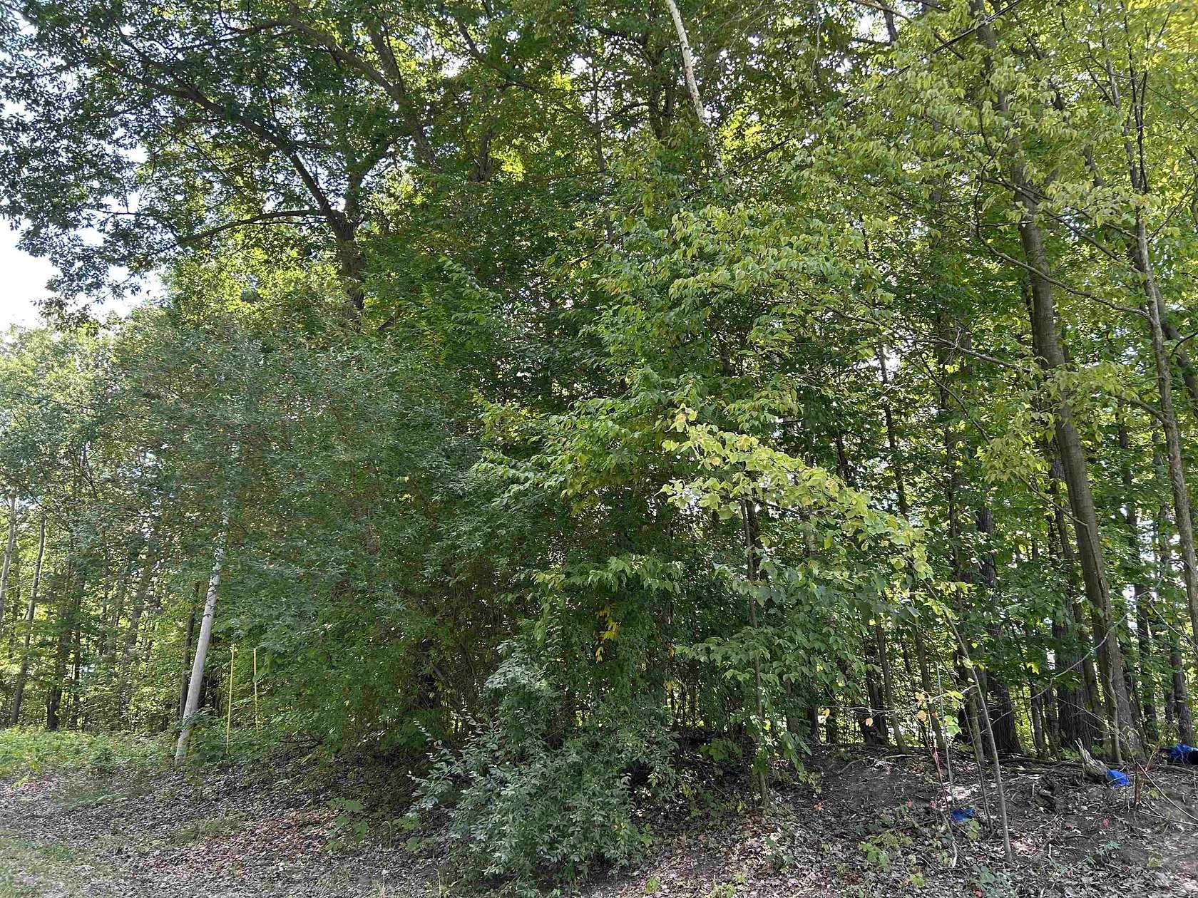 0.41 Acres of Residential Land for Sale in Gladwin, Michigan