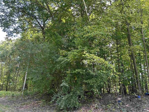 0.41 Acres of Residential Land for Sale in Gladwin, Michigan