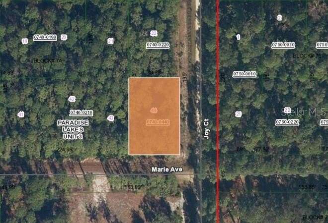 0.28 Acres of Residential Land for Sale in Georgetown, Florida