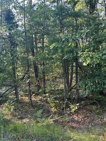 0.68 Acres of Residential Land for Sale in Otsego Lake Township, Michigan