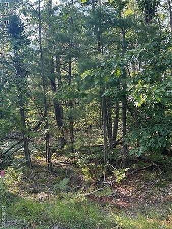 0.68 Acres of Residential Land for Sale in Otsego Lake Township, Michigan
