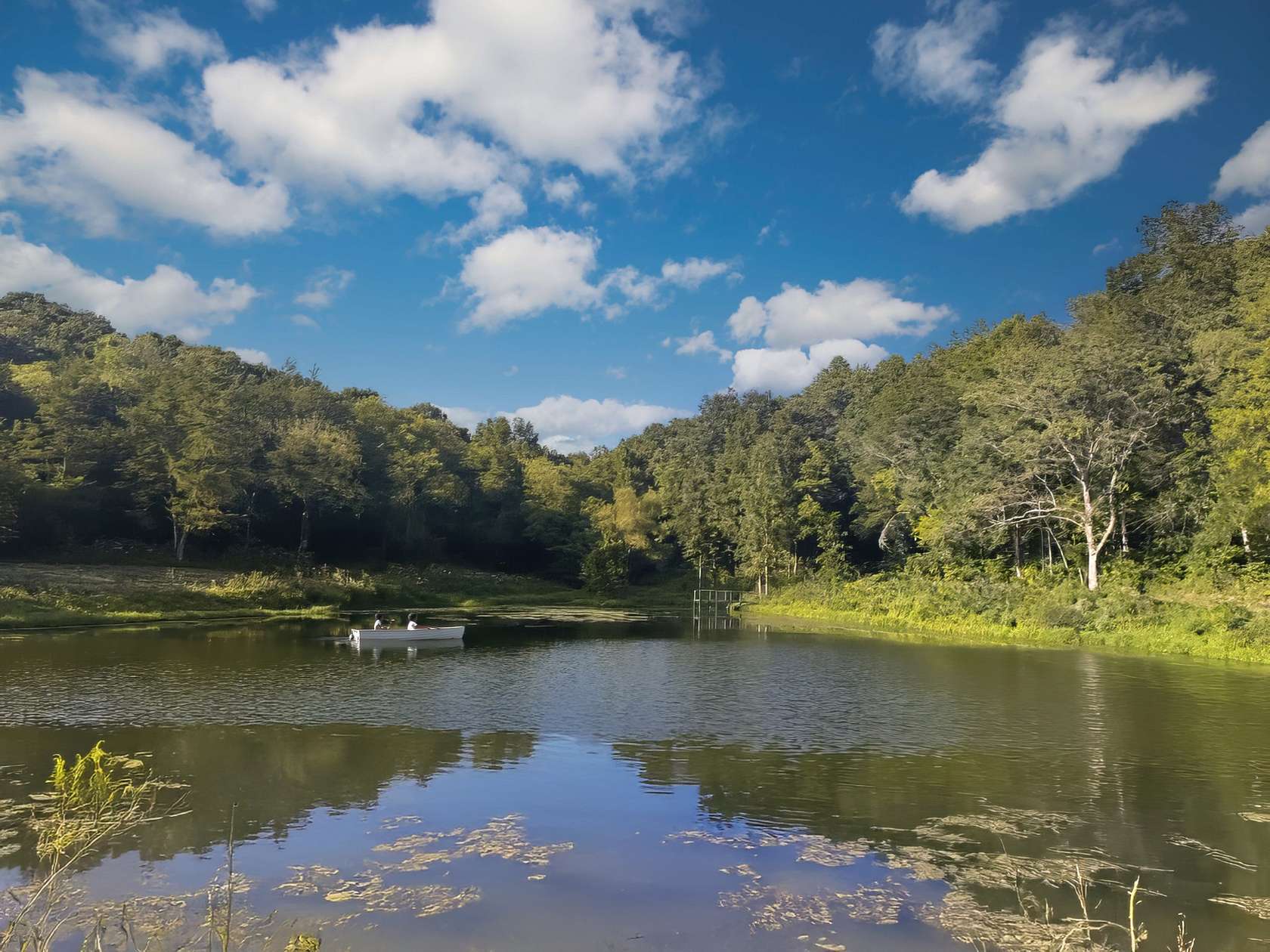 148 Acres of Recreational Land & Farm for Sale in Wartrace, Tennessee