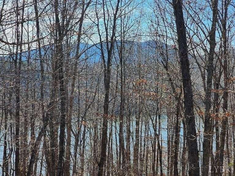 1.55 Acres of Land for Sale in Pittsville, Virginia