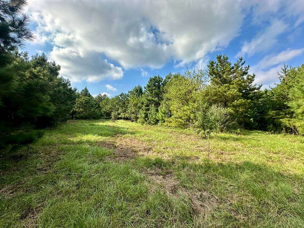 38 Acres of Recreational Land for Sale in Greenville, Alabama