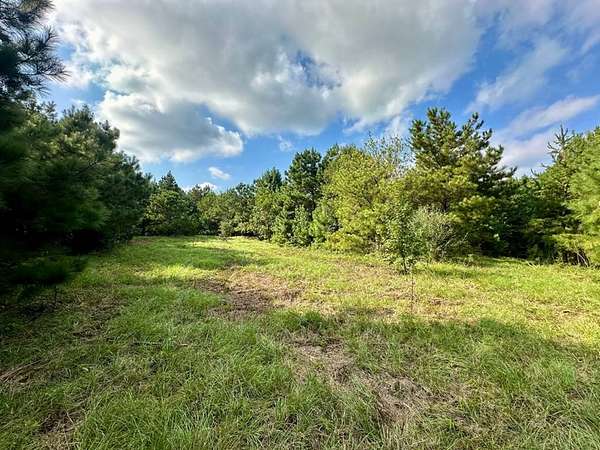 38 Acres of Recreational Land for Sale in Greenville, Alabama
