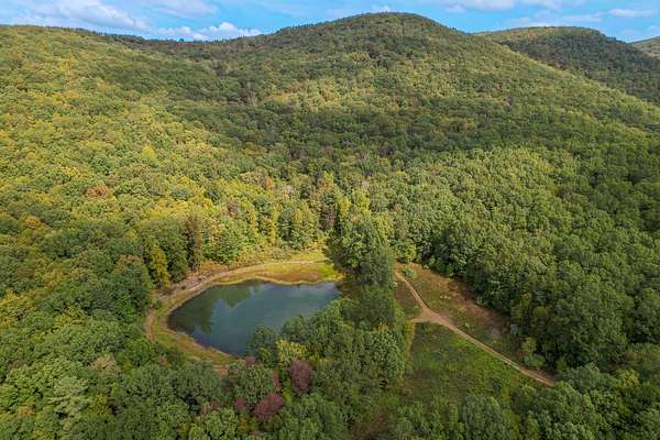 67 Acres of Recreational Land for Sale in Hancock, New York