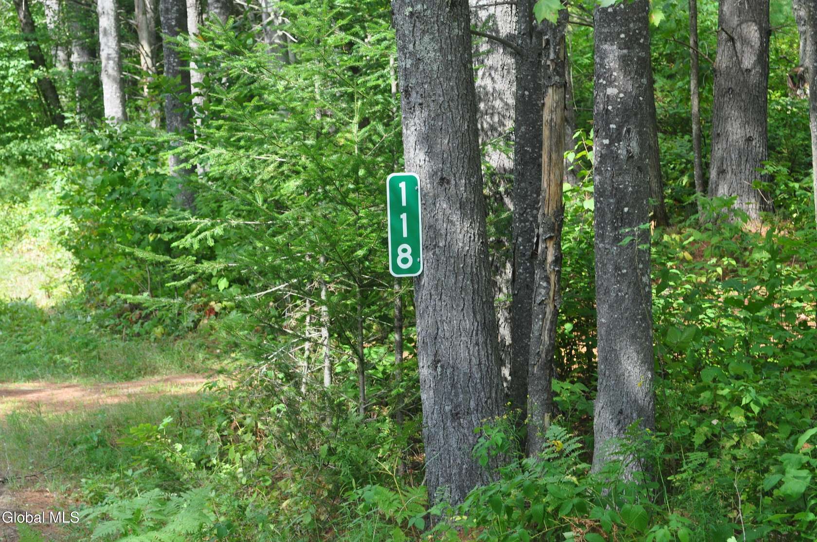 4.9 Acres of Residential Land with Home for Sale in Minerva Town, New York