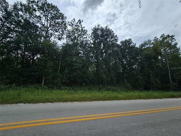 1.28 Acres of Residential Land for Sale in Bronson, Florida