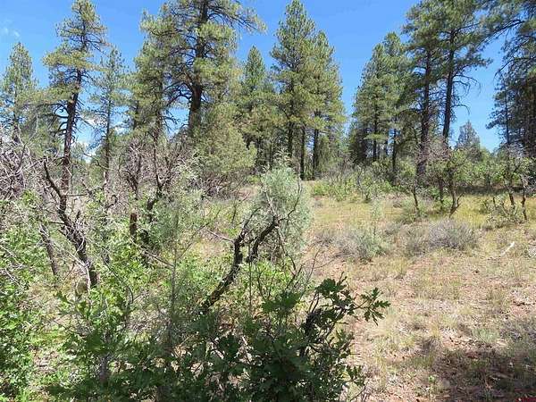 1 Acre of Residential Land for Sale in Pagosa Springs, Colorado