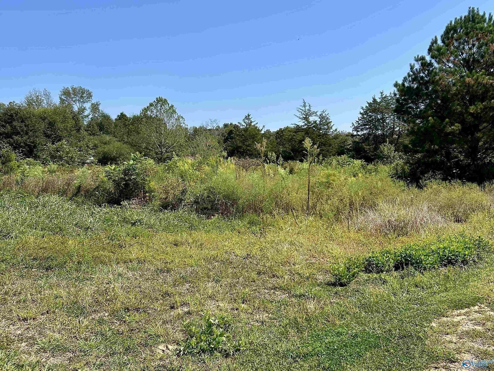 19.7 Acres of Land for Sale in Albertville, Alabama