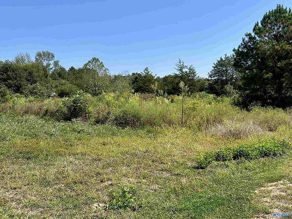 19.7 Acres of Land for Sale in Albertville, Alabama