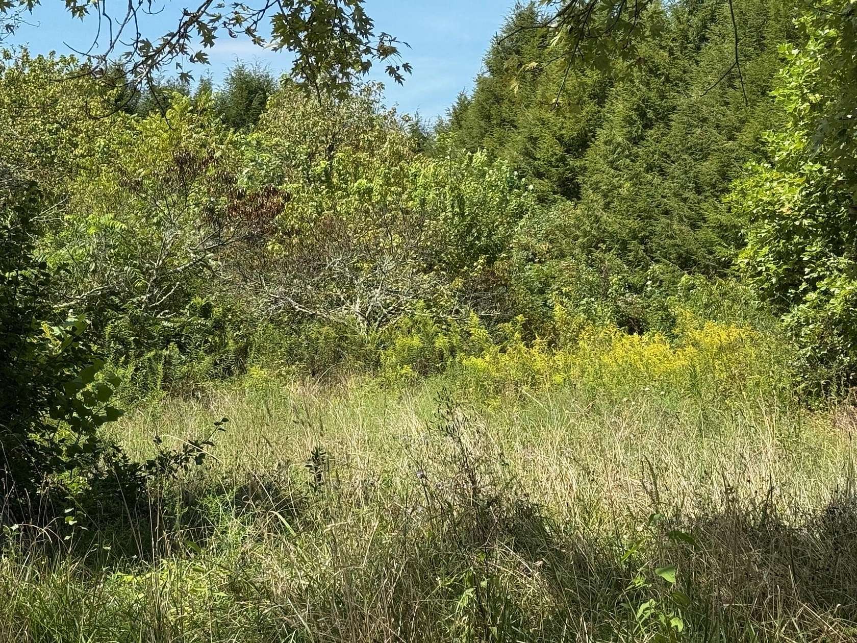 2.4 Acres of Residential Land for Sale in Palmer, Tennessee