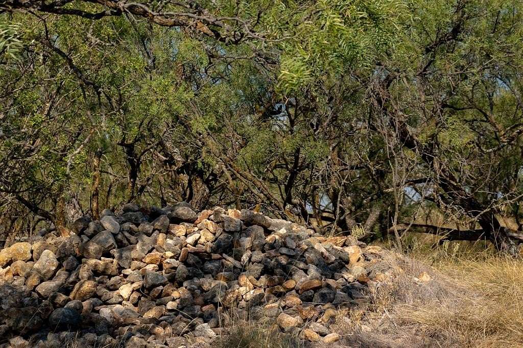 171 Acres of Land for Sale in Clyde, Texas