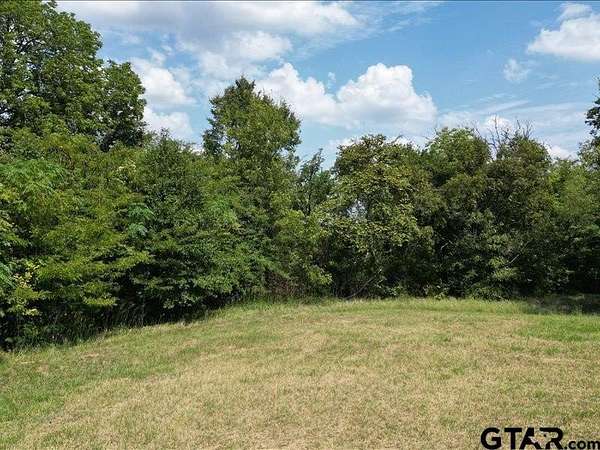 32 Acres of Recreational Land for Sale in Tyler, Texas