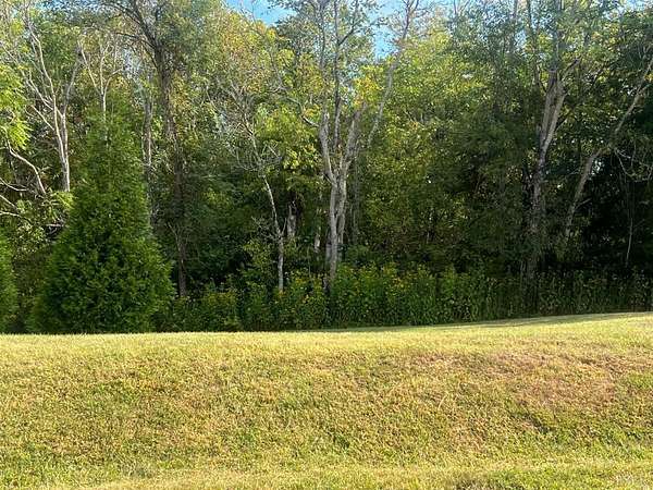 1.54 Acres of Residential Land for Sale in Forest, Virginia