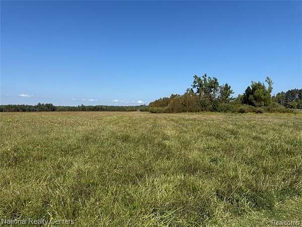 30 Acres of Agricultural Land for Sale in Alpena, Michigan