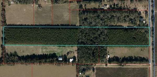 20 Acres of Land for Sale in Trenton, Florida