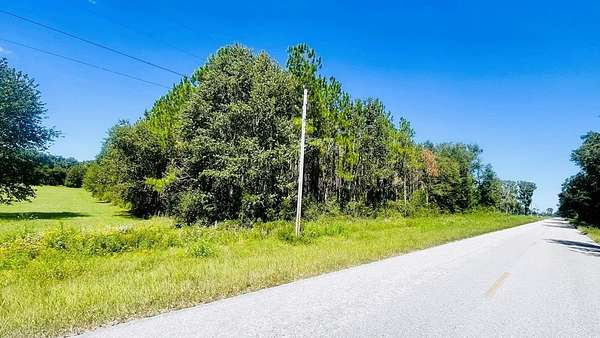 20 Acres of Land for Sale in Trenton, Florida
