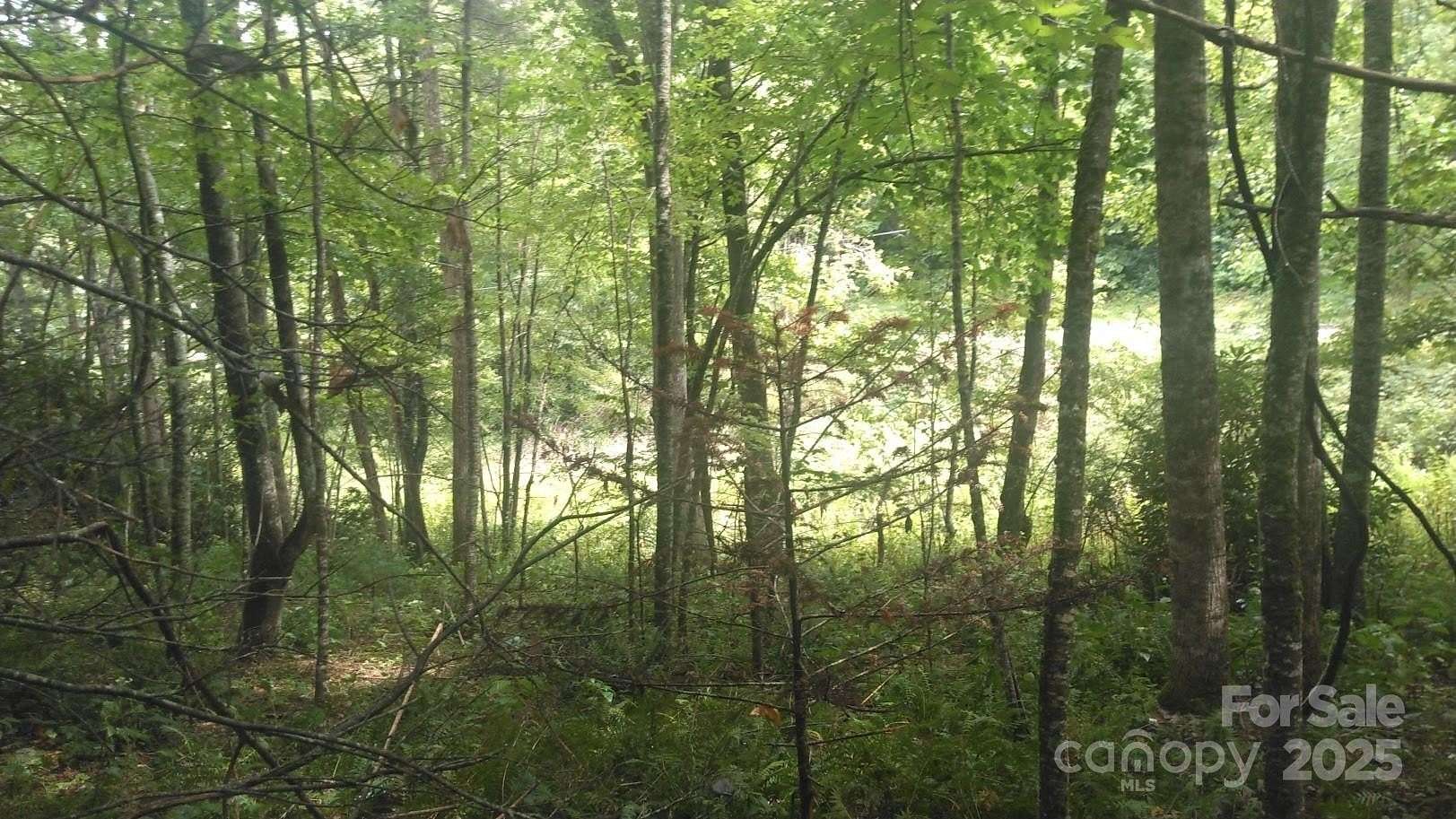 2 Acres of Mixed-Use Land for Sale in Newland, North Carolina