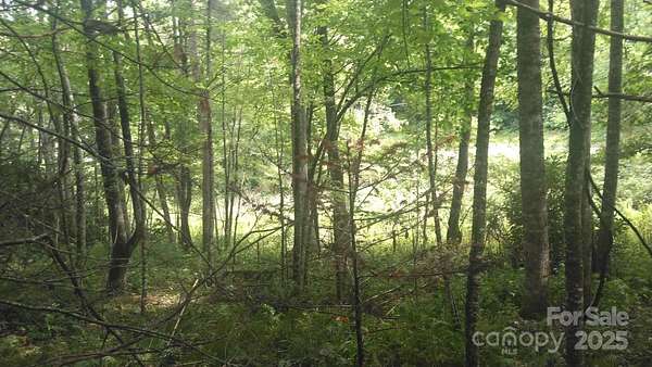 2 Acres of Mixed-Use Land for Sale in Newland, North Carolina