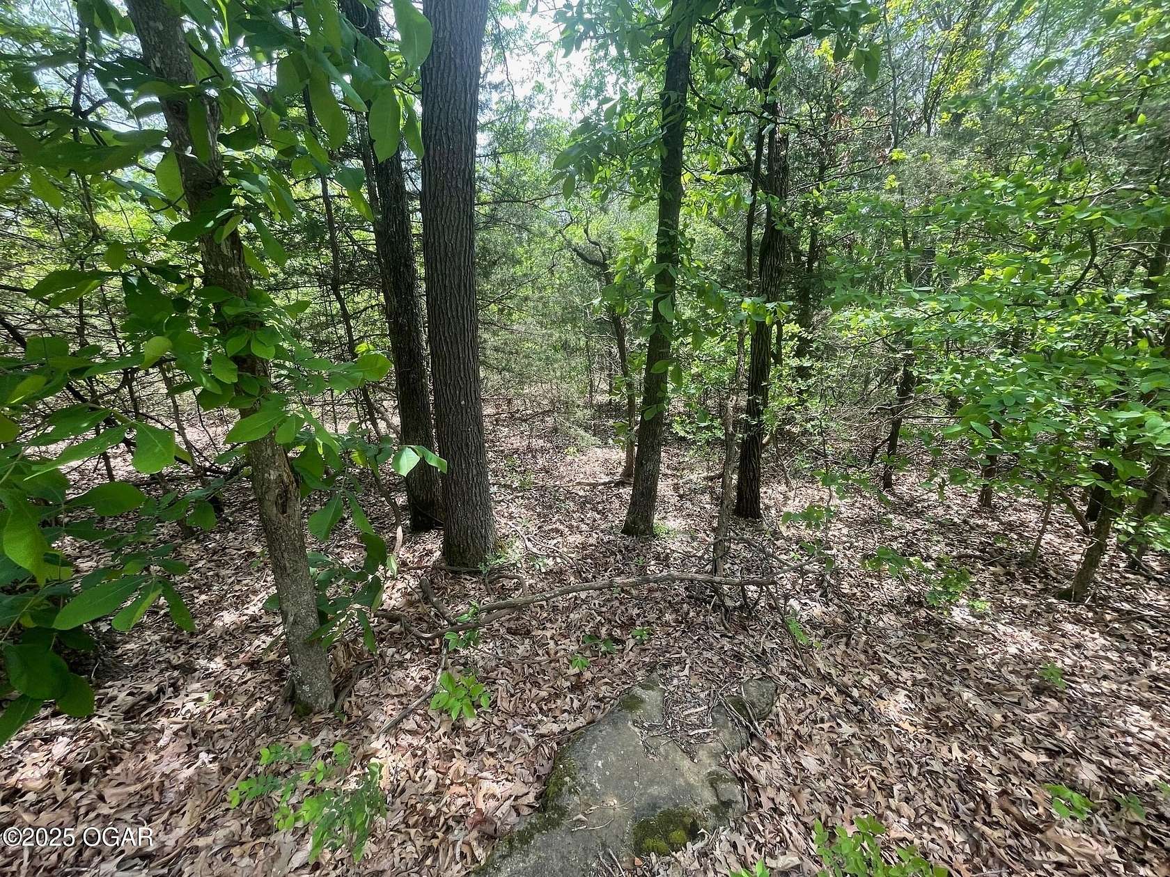 80 Acres of Recreational Land for Sale in Powell, Missouri