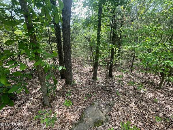 80 Acres of Recreational Land for Sale in Powell, Missouri