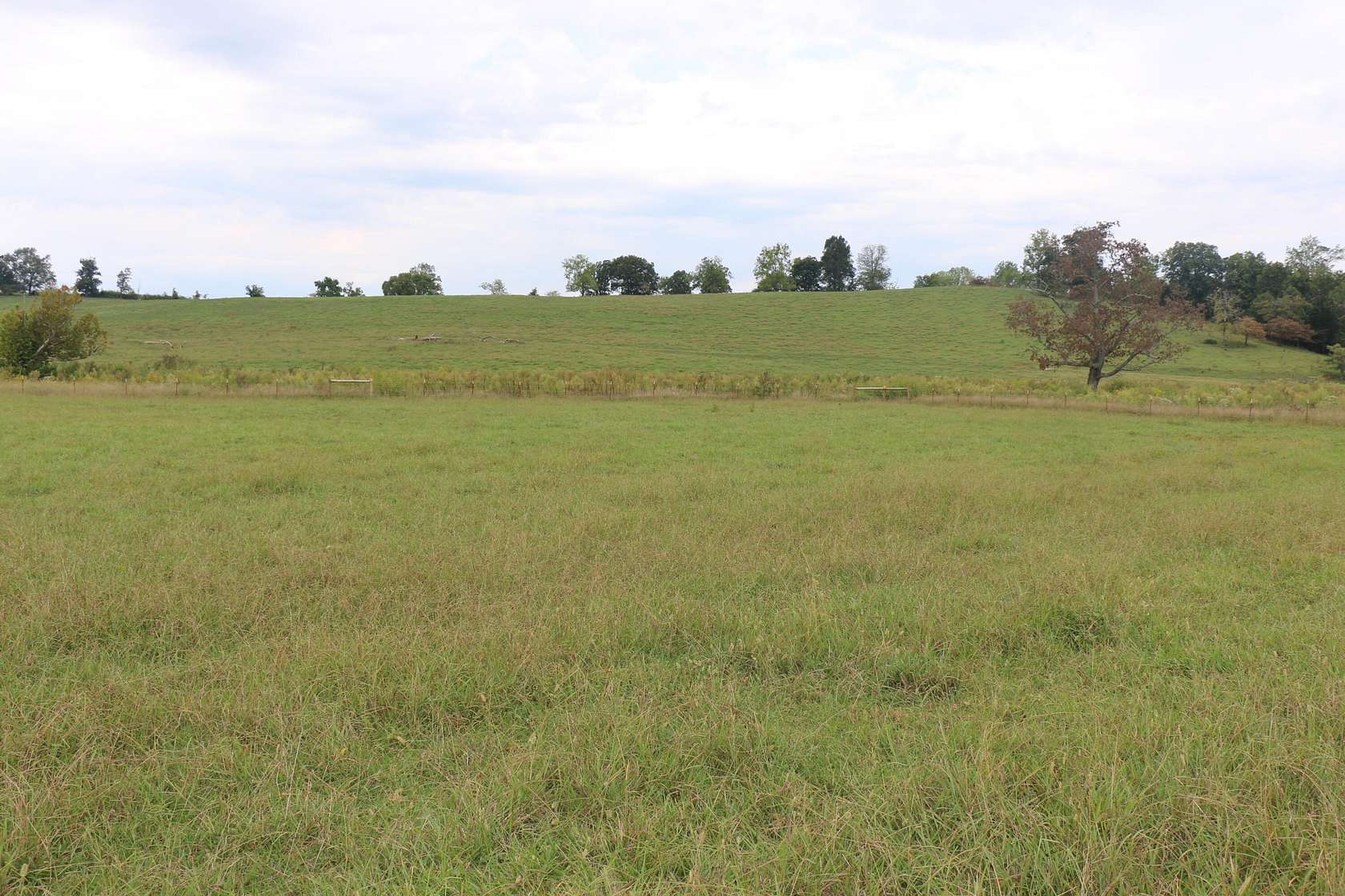 1 Acre of Residential Land for Sale in Englewood, Tennessee