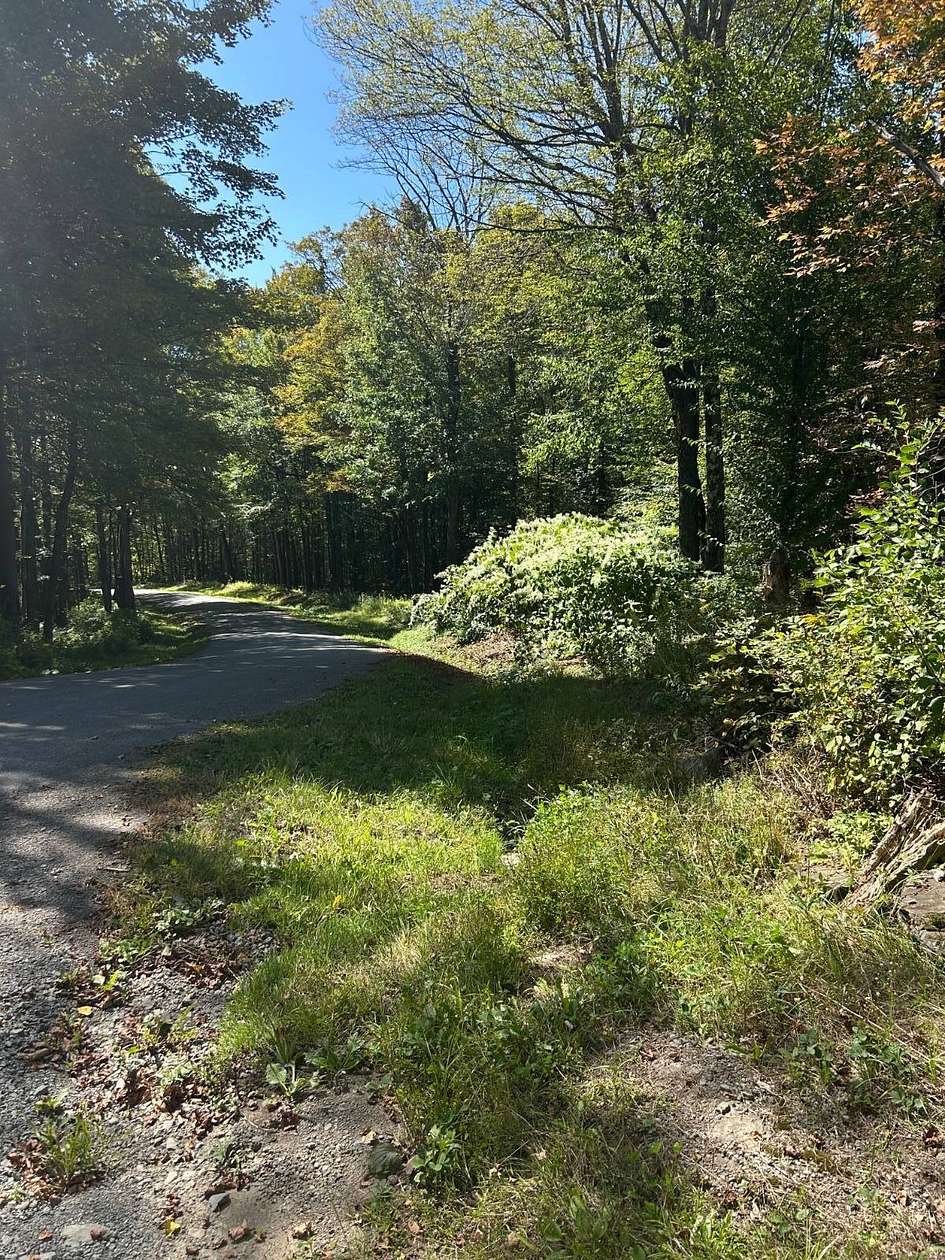 36 Acres of Recreational Land for Sale in Hancock, New York