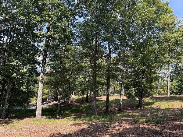 4.88 Acres of Residential Land for Sale in Brasstown, North Carolina