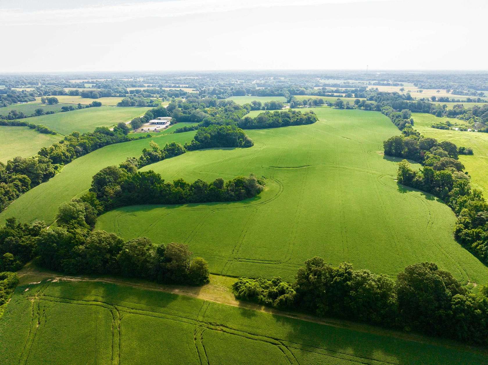 88.1 Acres of Agricultural Land for Sale in Brownsville, Tennessee