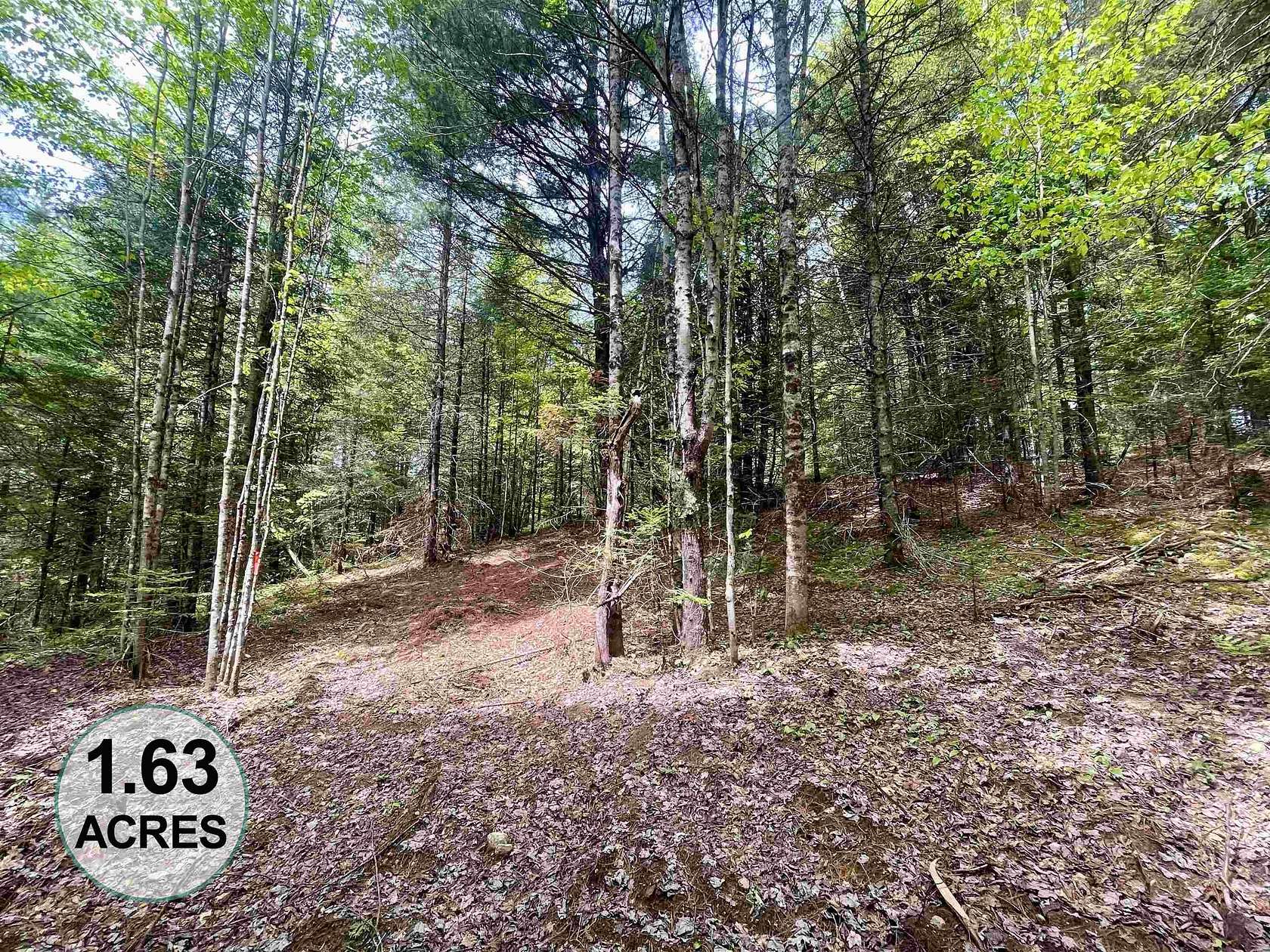 1.63 Acres of Residential Land for Sale in Burke Town, Vermont