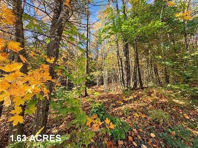 1.63 Acres of Residential Land for Sale in Burke Town, Vermont