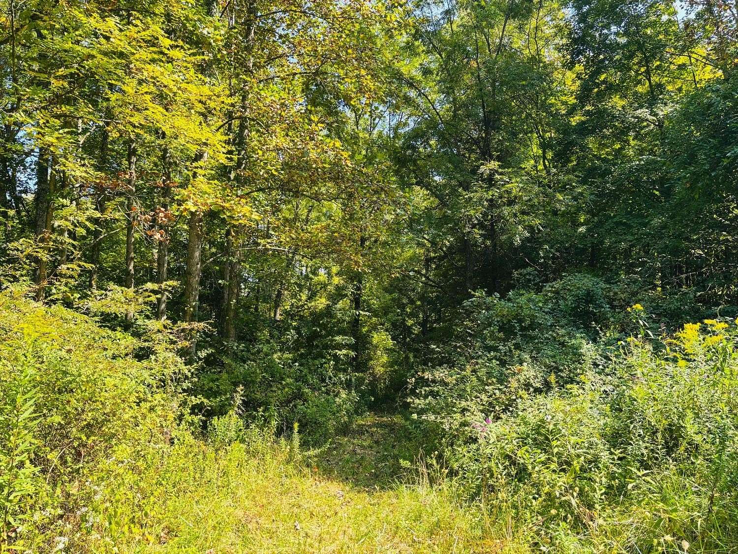 10 Acres of Recreational Land for Sale in Connersville, Indiana