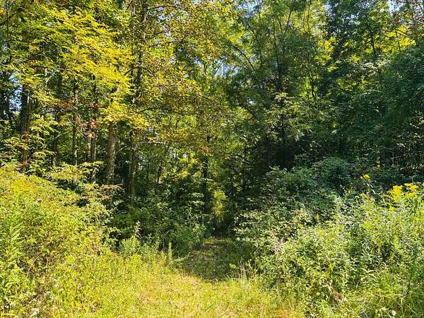10 Acres of Recreational Land for Sale in Connersville, Indiana